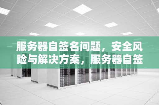 服务器自签名问题，安全风险与解决方案，服务器自签名证书