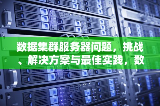 数据集群服务器问题，挑战、解决方案与最佳实践，数据集群服务器问题有哪些