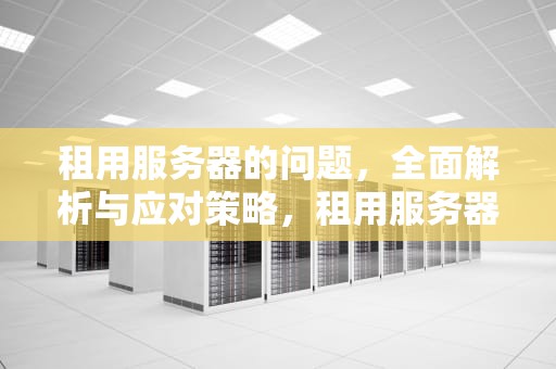 租用服务器的问题，全面解析与应对策略，租用服务器的问题有哪些