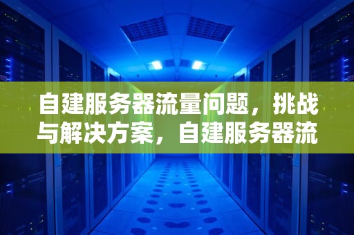 自建服务器流量问题，挑战与解决方案，自建服务器流量问题怎么解决