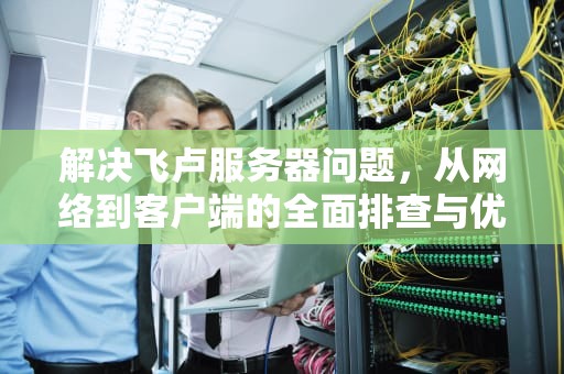 解决飞卢服务器问题，从网络到客户端的全面排查与优化，飞卢的服务器怎么老出问题