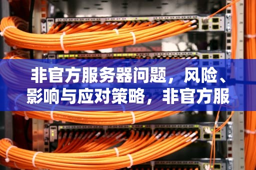 非官方服务器问题，风险、影响与应对策略，非官方服务器问题有哪些