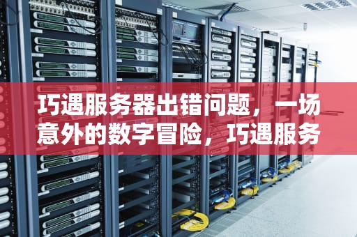 巧遇服务器出错问题，一场意外的数字冒险，巧遇服务器出错问题怎么解决