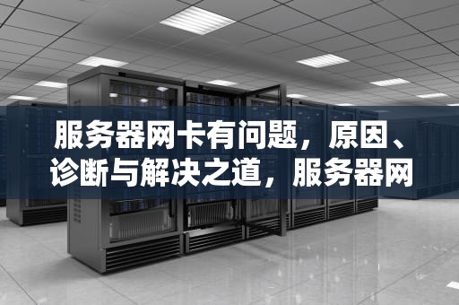 服务器网卡有问题，原因、诊断与解决之道，服务器网卡有问题怎么解决