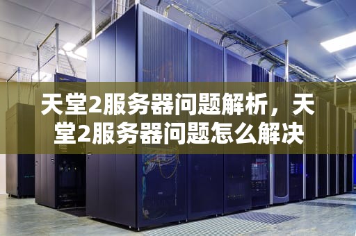天堂2服务器问题解析，天堂2服务器问题怎么解决