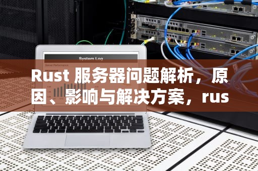 Rust 服务器问题解析，原因、影响与解决方案，rust服务器很少