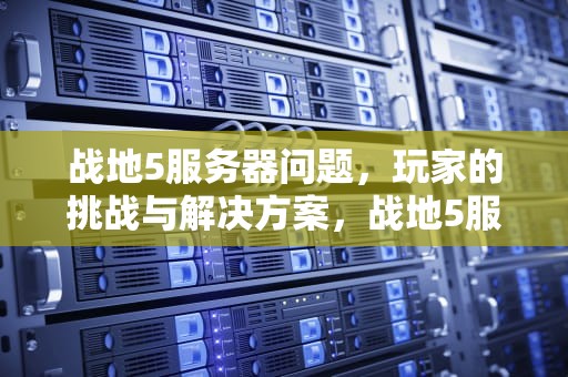 战地5服务器问题，玩家的挑战与解决方案，战地5服务器问题怎么解决