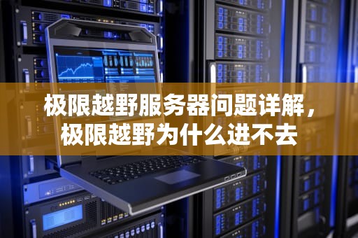 极限越野服务器问题详解，极限越野为什么进不去