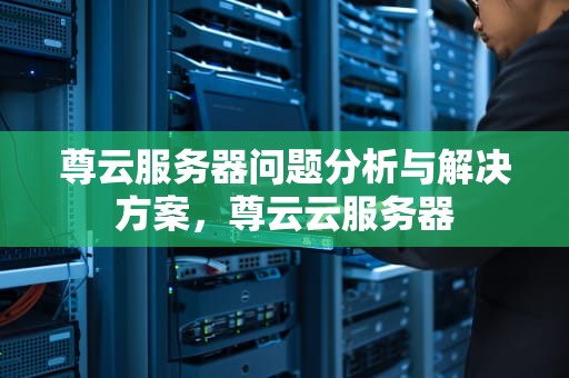 尊云服务器问题分析与解决方案，尊云云服务器