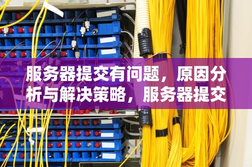 服务器提交有问题，原因分析与解决策略，服务器提交有问题怎么解决