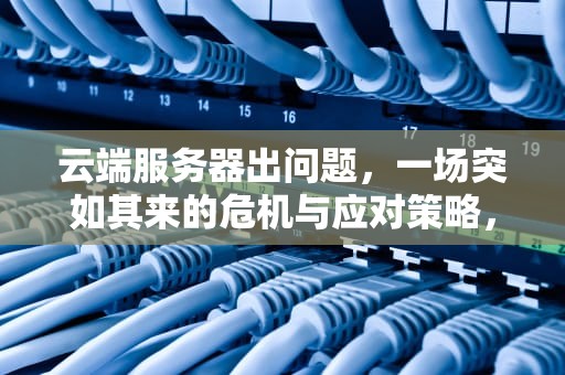 云端服务器出问题，一场突如其来的危机与应对策略，云端服务器出问题怎么解决