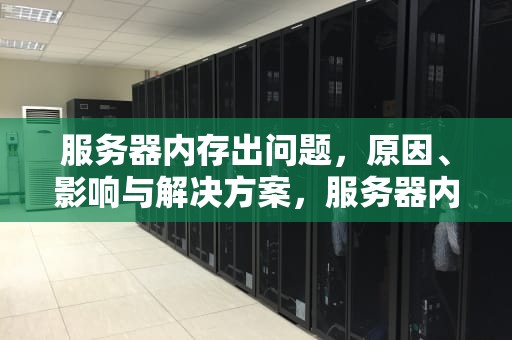 服务器内存出问题，原因、影响与解决方案，服务器内存出问题卡在B7