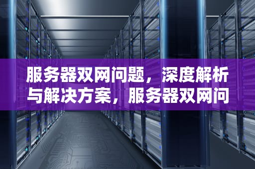 服务器双网问题，深度解析与解决方案，服务器双网问题怎么解决