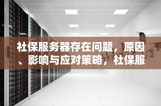 社保服务器存在问题，原因、影响与应对策略，社保服务器异常