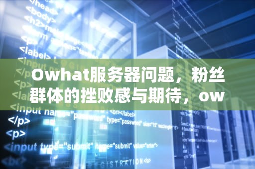 Owhat服务器问题，粉丝群体的挫败感与期待，owhat客户端