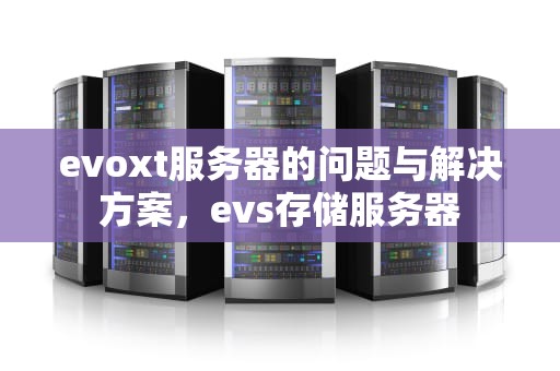 evoxt服务器的问题与解决方案，evs存储服务器