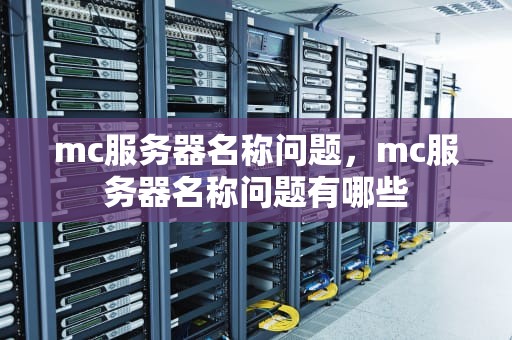 mc服务器名称问题，mc服务器名称问题有哪些