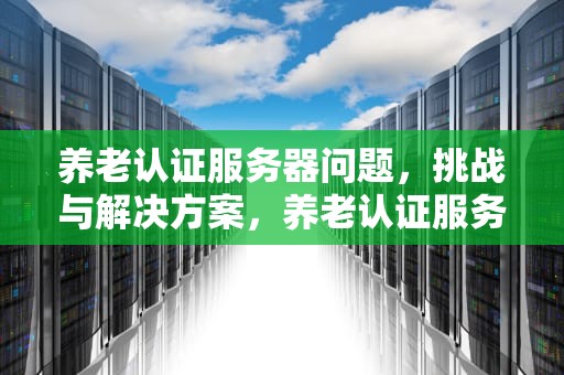 养老认证服务器问题，挑战与解决方案，养老认证服务器问题怎么解决