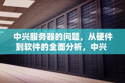 中兴服务器的问题，从硬件到软件的全面分析，中兴 服务器