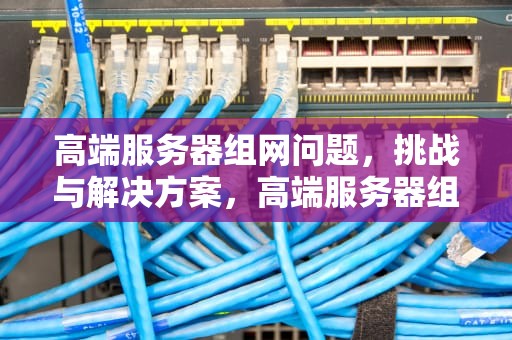 高端服务器组网问题，挑战与解决方案，高端服务器组网问题有哪些