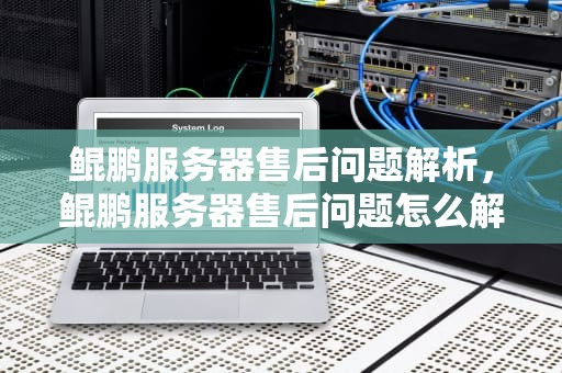 鲲鹏服务器售后问题解析，鲲鹏服务器售后问题怎么解决