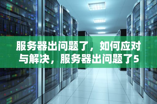 服务器出问题了，如何应对与解决，服务器出问题了500