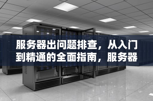 服务器出问题排查，从入门到精通的全面指南，服务器问题排查思路
