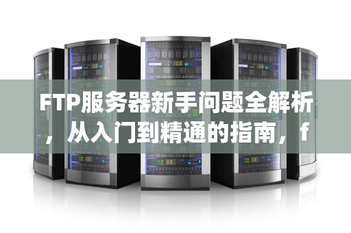 FTP服务器新手问题全解析，从入门到精通的指南，ftp服务器怎么用