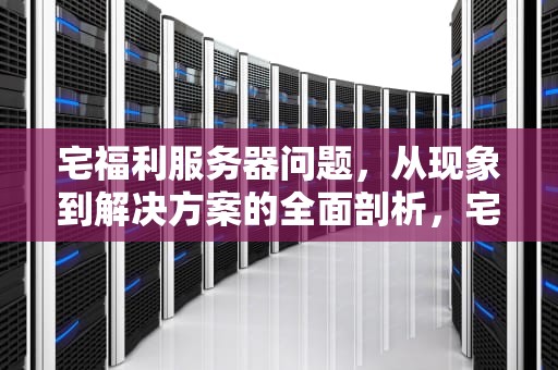 宅福利服务器问题，从现象到解决方案的全面剖析，宅福岛9