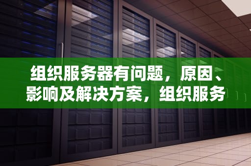 组织服务器有问题，原因、影响及解决方案，组织服务器有问题怎么解决