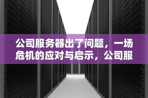 公司服务器出了问题，一场危机的应对与启示，公司服务器出了问题怎么解决