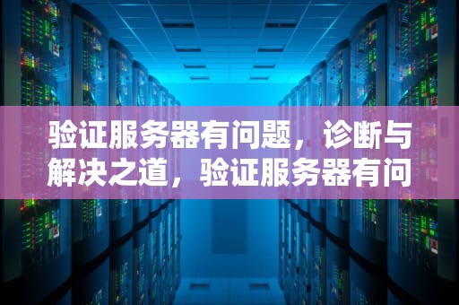 验证服务器有问题，诊断与解决之道，验证服务器有问题怎么办
