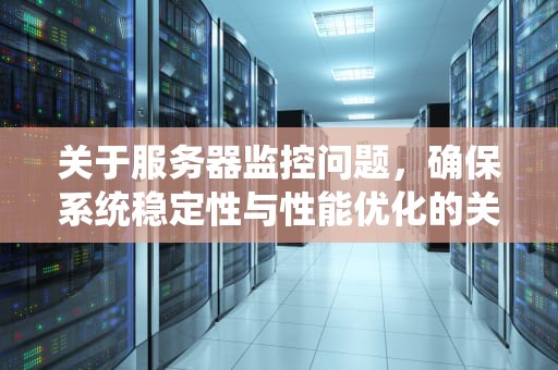 关于服务器监控问题，确保系统稳定性与性能优化的关键，关于服务器监控问题的报告