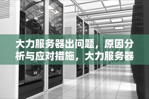 大力服务器出问题，原因分析与应对措施，大力服务器出问题怎么解决