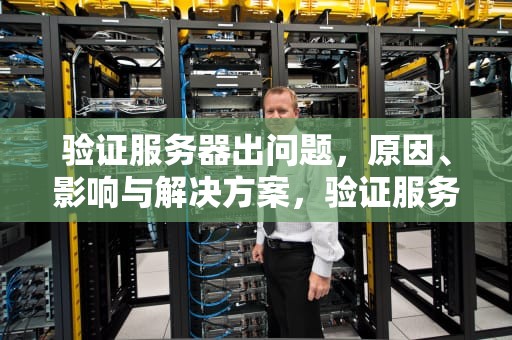 验证服务器出问题，原因、影响与解决方案，验证服务器出问题怎么办