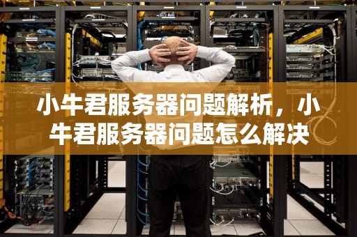 小牛君服务器问题解析，小牛君服务器问题怎么解决
