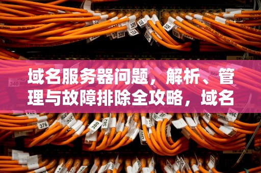 域名服务器问题，解析、管理与故障排除全攻略，域名服务器问题怎么解决