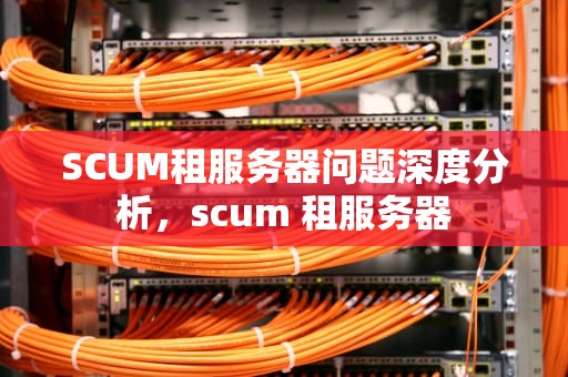 SCUM租服务器问题深度分析，scum 租服务器