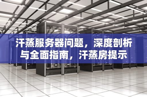 汗蒸服务器问题，深度剖析与全面指南，汗蒸房提示