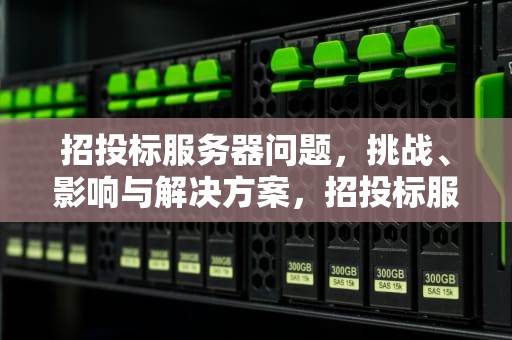 招投标服务器问题，挑战、影响与解决方案，招投标服务器问题怎么解决