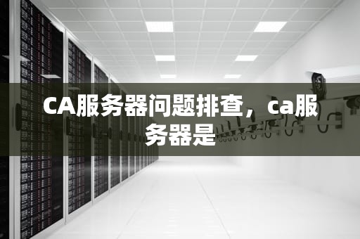 CA服务器问题排查，ca服务器是