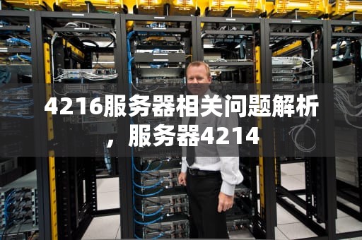 4216服务器相关问题解析，服务器4214