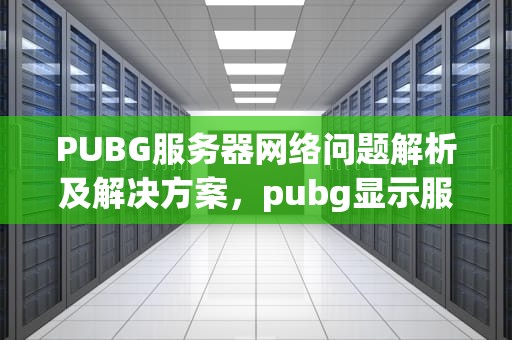 PUBG服务器网络问题解析及解决方案，pubg显示服务器连接失败