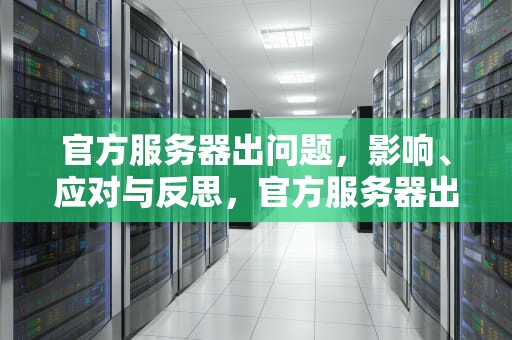 官方服务器出问题，影响、应对与反思，官方服务器出问题怎么办