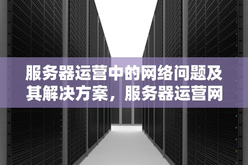 服务器运营中的网络问题及其解决方案，服务器运营网络问题有哪些