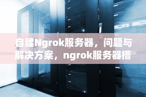 自建Ngrok服务器，问题与解决方案，ngrok服务器搭建