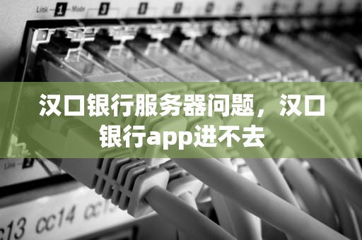 汉口银行服务器问题，汉口银行app进不去