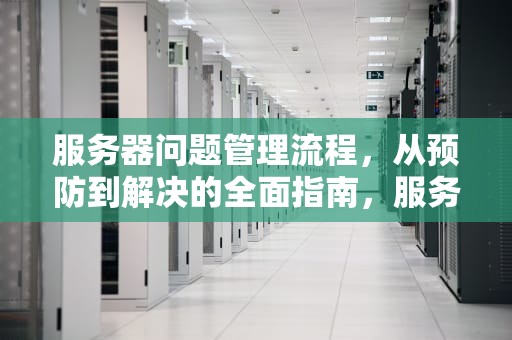 服务器问题管理流程，从预防到解决的全面指南，服务器问题管理流程图