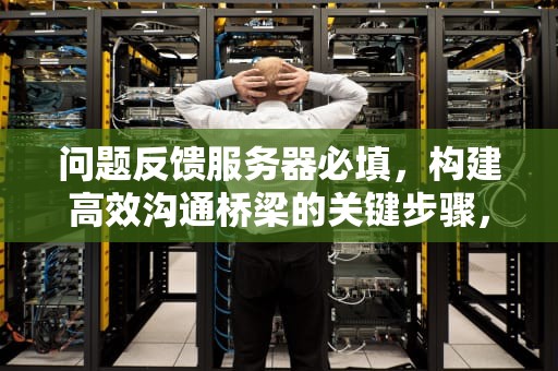 问题反馈服务器必填，构建高效沟通桥梁的关键步骤，问题反馈服务器怎么填