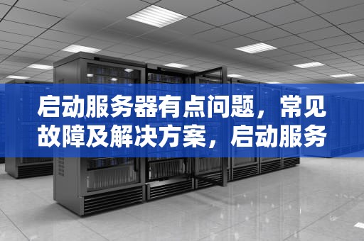 启动服务器有点问题，常见故障及解决方案，启动服务器有点问题,请再次尝试